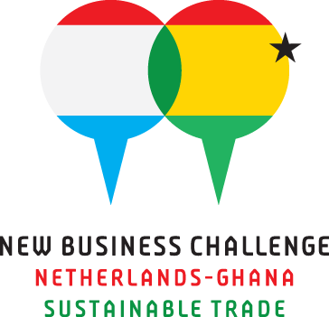 New Business Challenge: Enabling Sustainable Business Opportunities